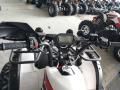  Forte BULL 200